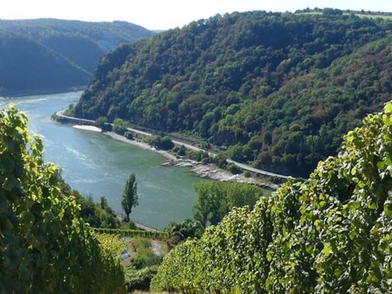 4F9359C62894B7520F3F8C613A815006