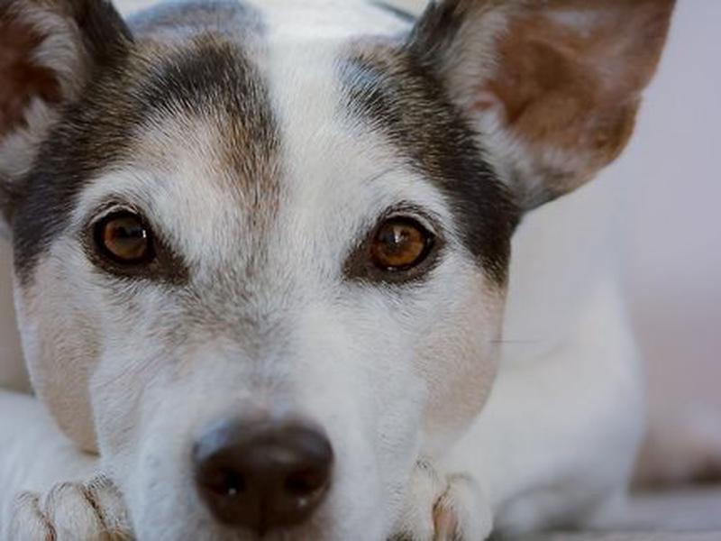 94346FDC5E8266B00ED460417BC422DC