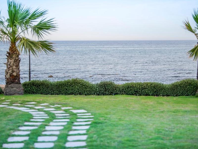 BE53DDEE491A0667493713507D1A968D