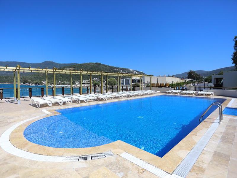 99C20BEF36D54A8AFDDBA67016BEB86B