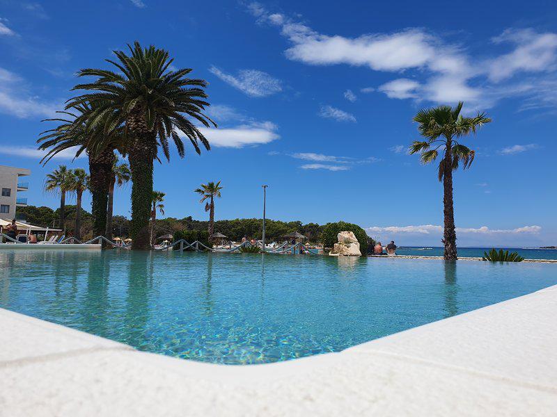 D1383DF2C0E3E022701139ECDCEC530A