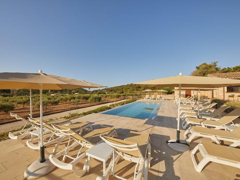 86C31D6C064FB0B8B24E1D89CB80762A