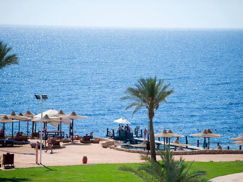 0269319FA479AF5DE32E1DC541E59E73