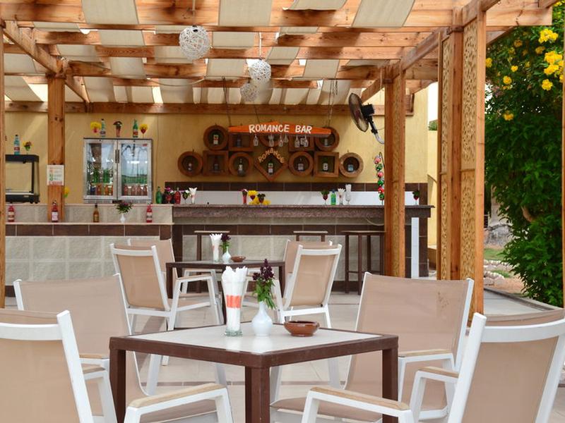 79392438B9C4E29D50146694E3A35533