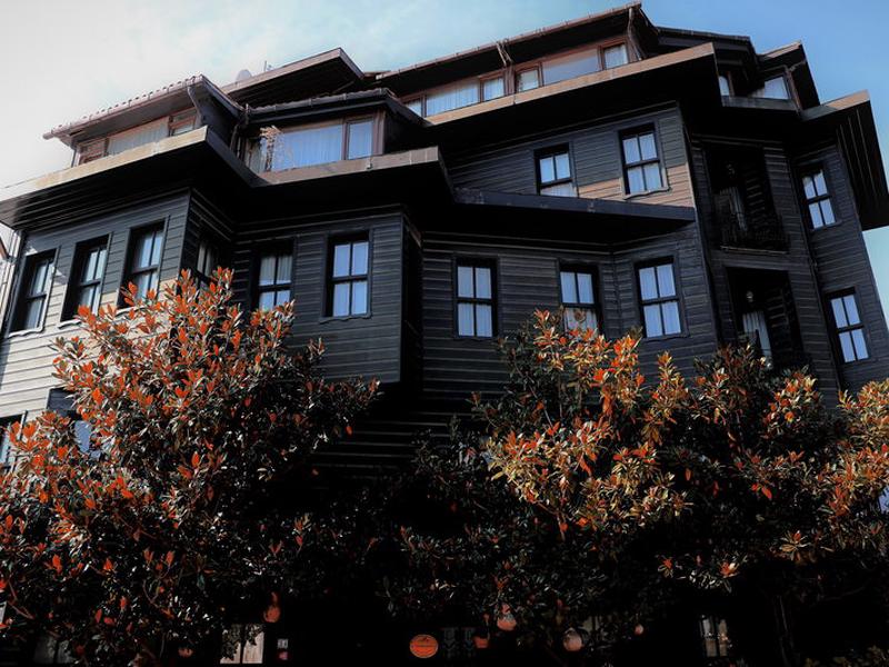 3644015F077E3626E2036EA6F90326A2