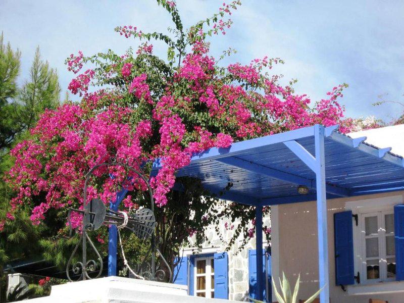 68ECA1C8C74B758ED880399B63967817