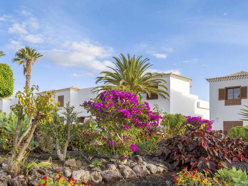 FBEE4CF8DE2859FC4CEB3D51F97D2F38