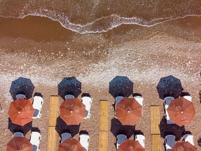 9CAA737A7129D2D6F71FE5577031F59B