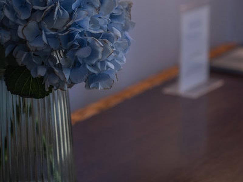 969686DB0E62A590FDCCD160655115F2