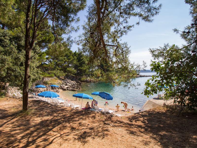 53DEF88392976B20CC467B91F4D19A4A