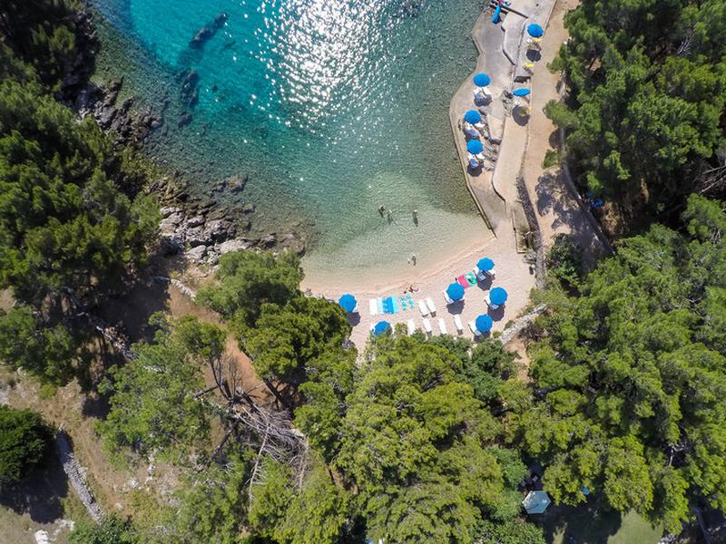 5E54367EC359614C18CD26A64746C0D5