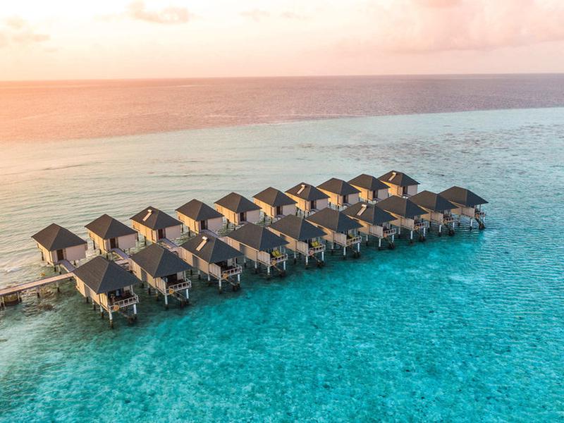 322D973DEBBF2D50747A6A70331851F3