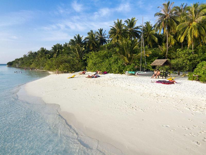 2367A22B5634682844A1C2DEFCDF950E