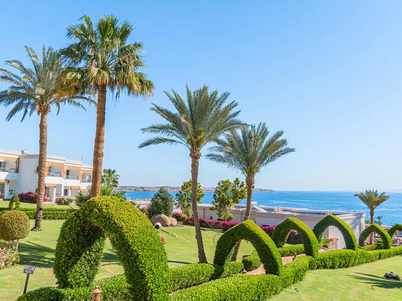 C9DFDD11C122CD19B78AE0F90BE0C2A8