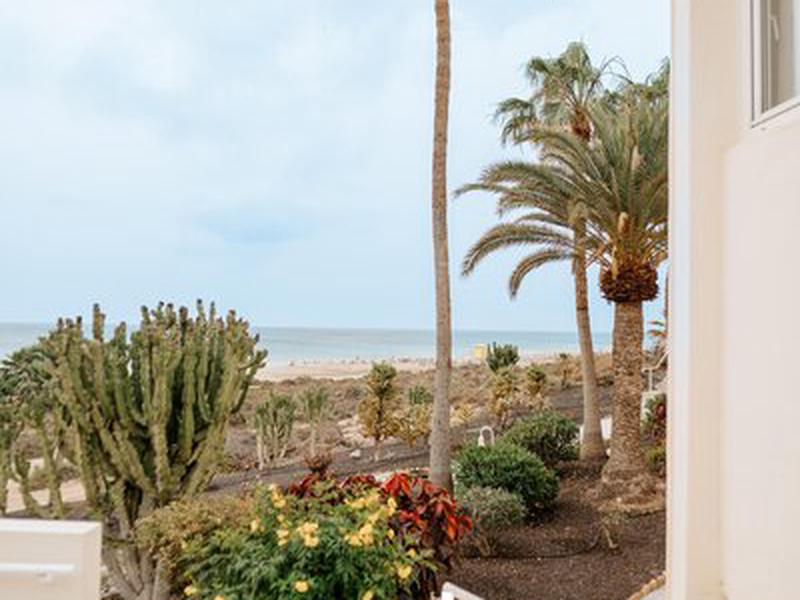 3802ECC76C6082873921CD8D9A17849D