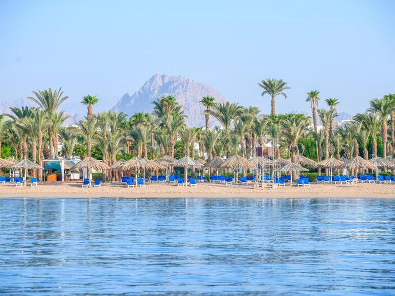 6203E6D2ADEC36209820E67E030553EB