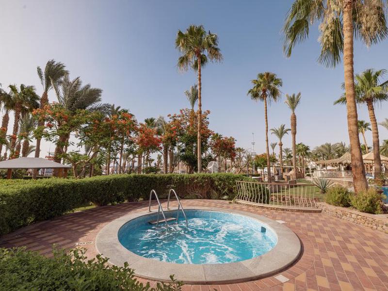 CBD5E66C0B6329F0A2A98FCF6FE91536