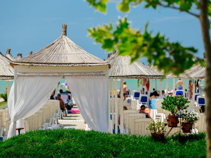 97F94CE461D3280C1CD442DE874C8082