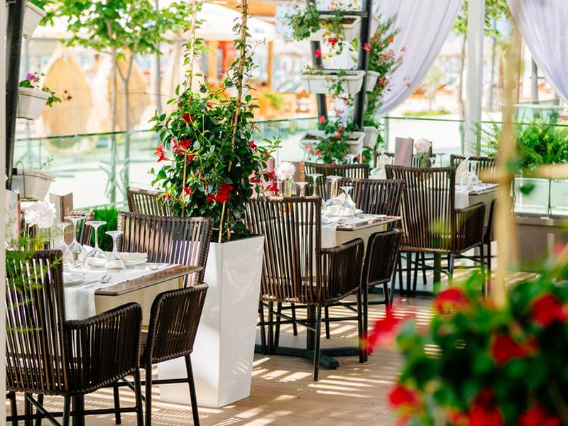 D7DEEAC36C4112463B66810234B51CE5