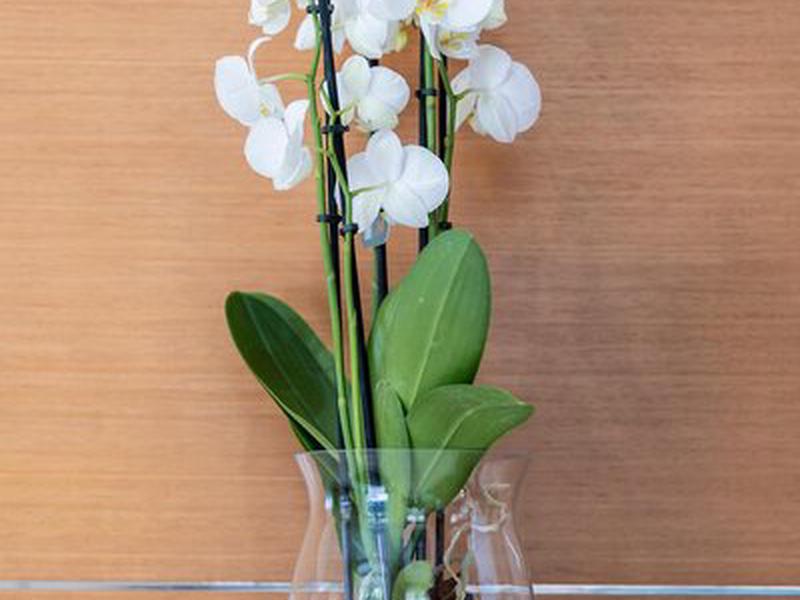 34EB7A1C78D3D5C91A01A502AE15072A