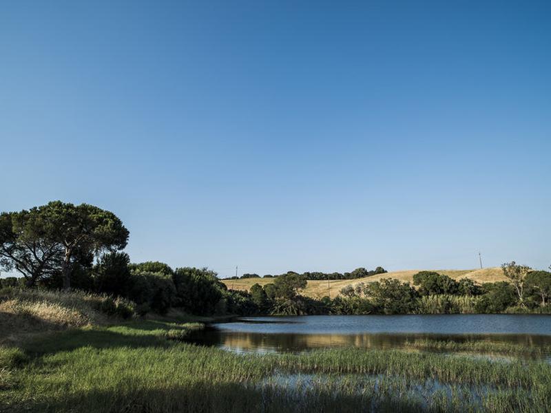 A06B982485AF439905A7D351360AC5CC