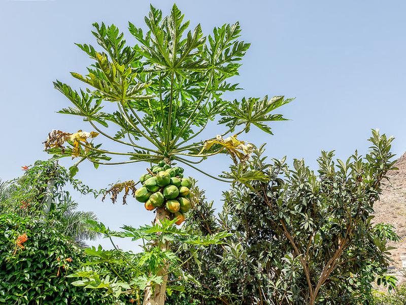 E4800CE88A9A43FDFE74341E2597A126