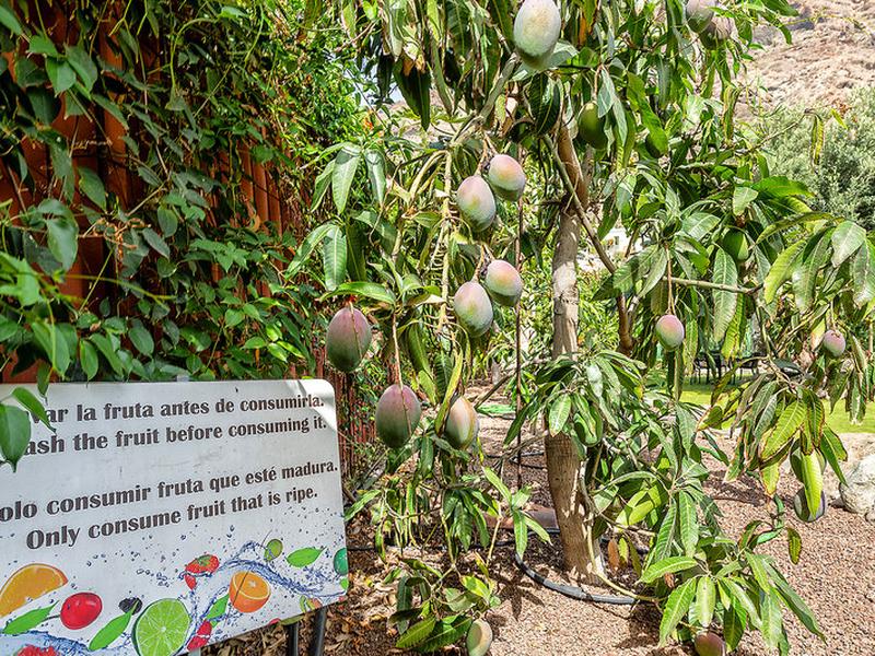 EE2ACA19A8A1DB7A4A8652A3DA6EF591