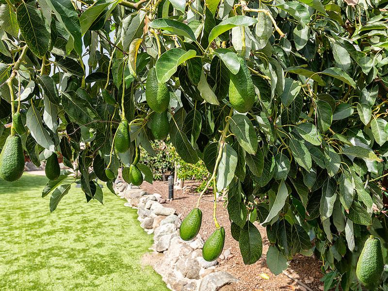 E06A873BC09E146BB0EA6D9B1B278107