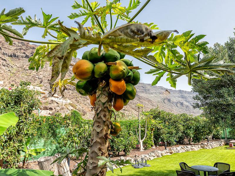 80FF9E49F799D467CEB88FEF3EF22A1F