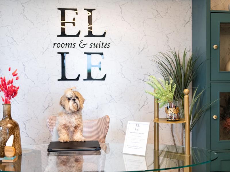 6324592EE1E03B12407E3CB583CC65E4