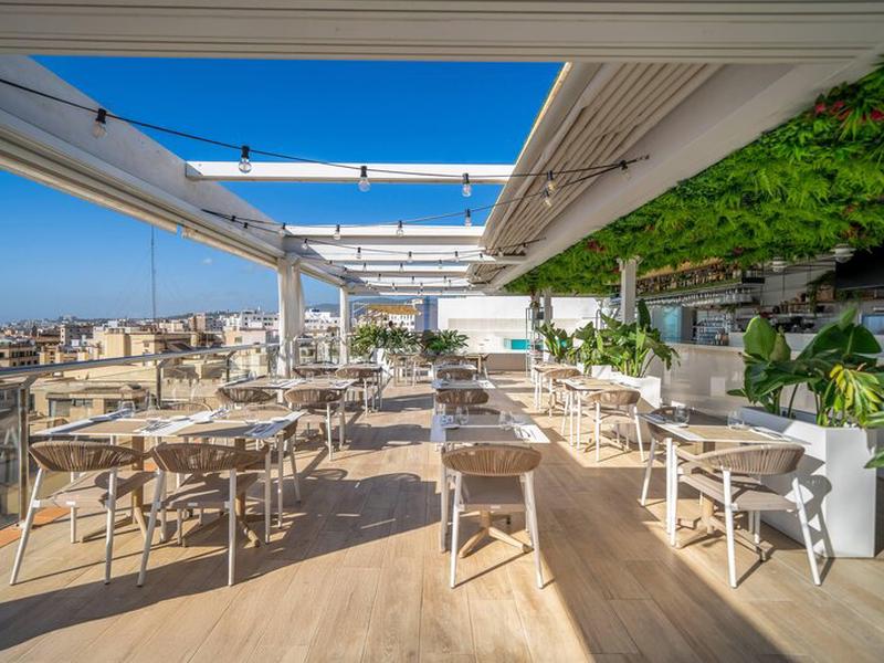 A9A5DD78A88799085028423C3CE0D980