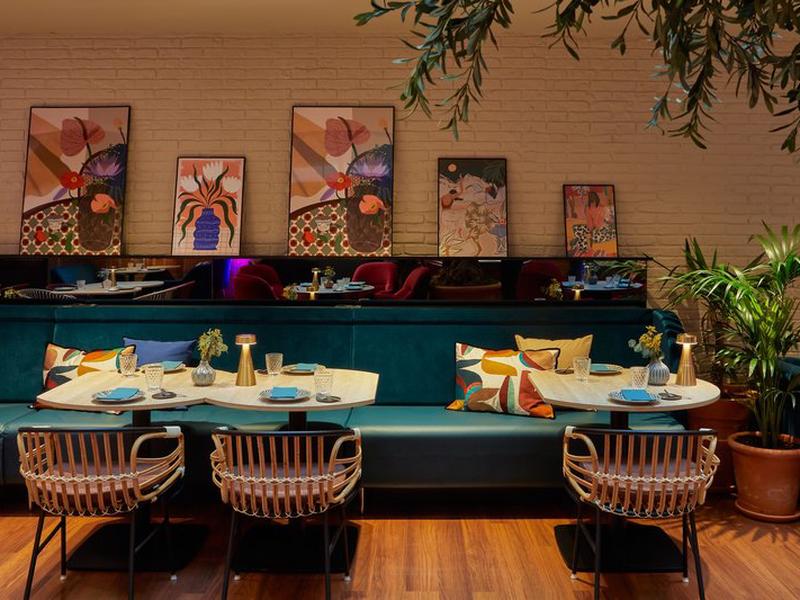 A22F599F4CCC65B655AEF2B5FE588865