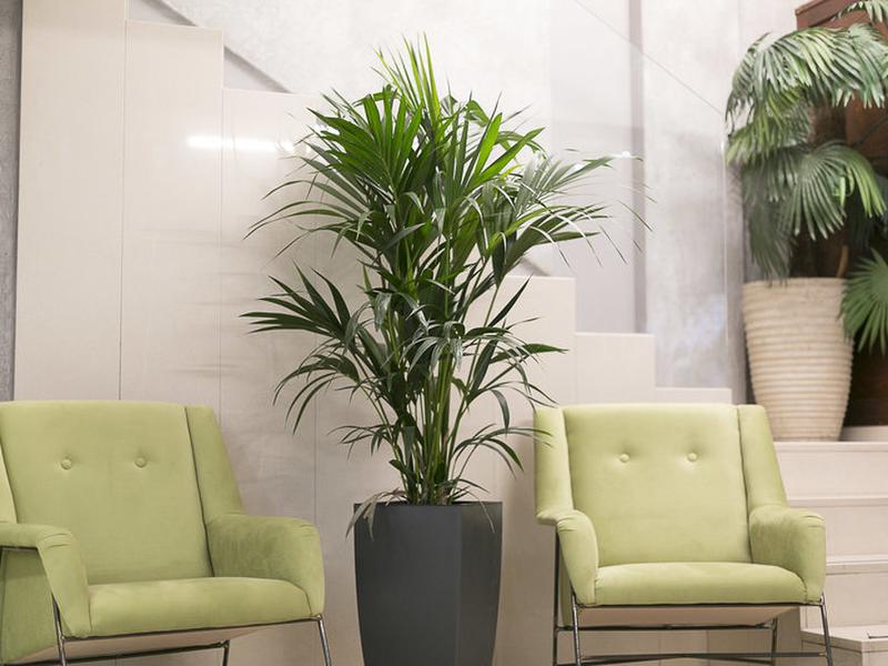 7FC66F3C41DEAB87D3F225BC181D5B27