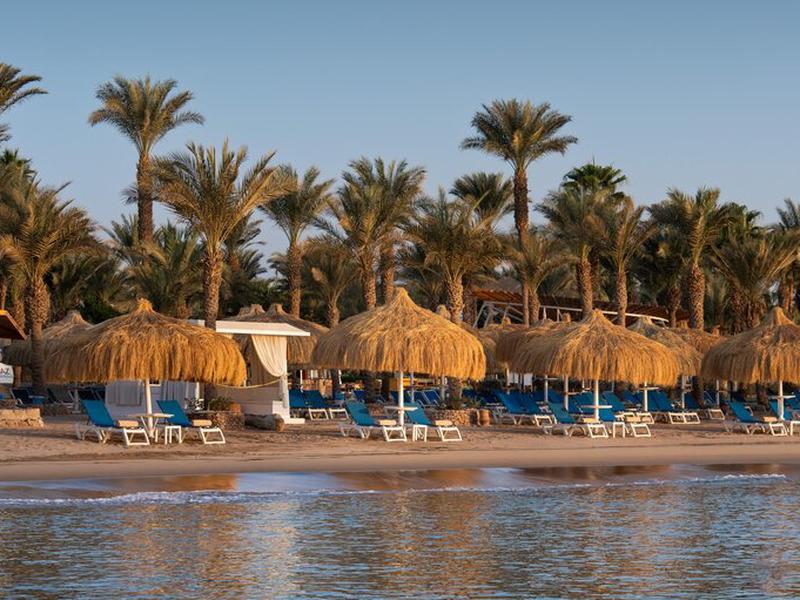 CC3BD0E87BB191A50DFDC9721A1F56A7