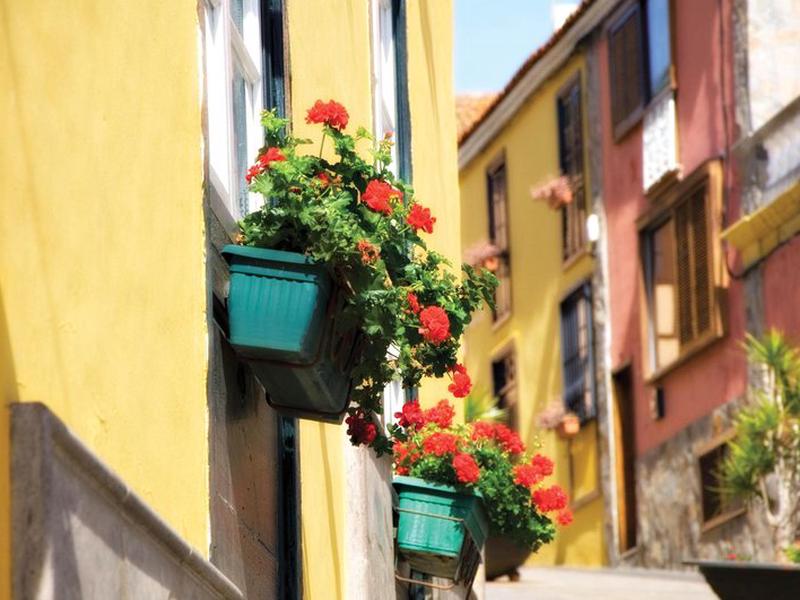 114EF3B510FD78742BD00D8874AB3164