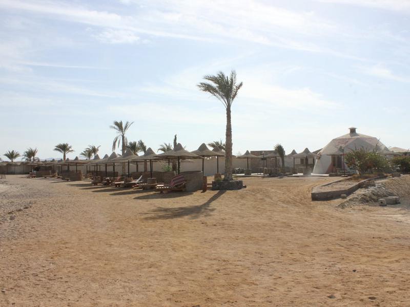 F1164146B8E05D3C4FA801C8246B2046