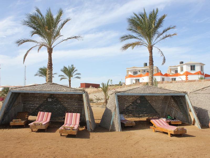 39426955CD60DE9BB850713B93C562A1