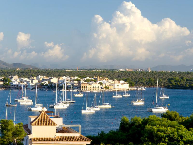 2842ED06A9C61080A946155B778491EC