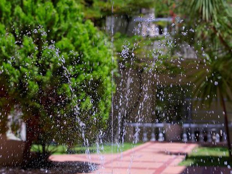 C10FDD78CEE142938934B0D299157E45