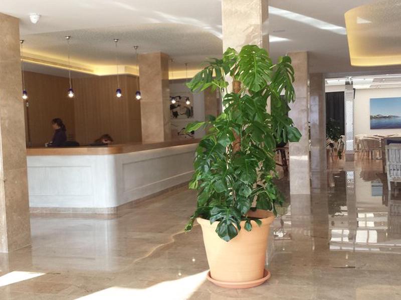 50EB616465128B777BDD733D88BD193B