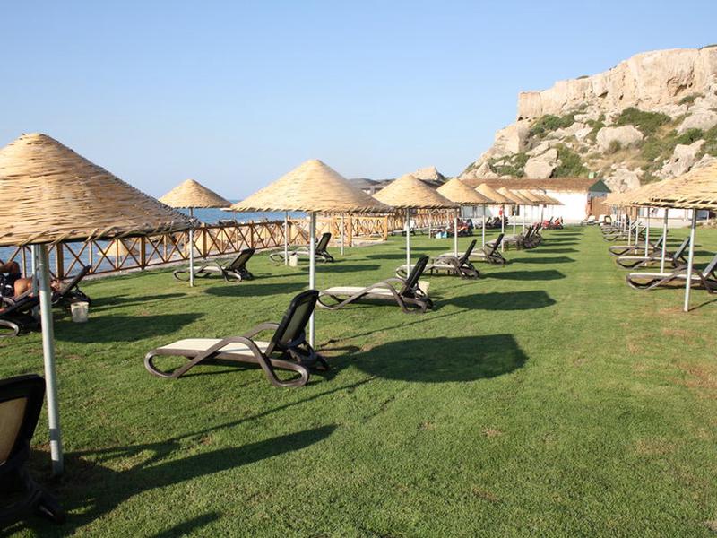 1E654D6491F7B7E9087FA1E081E01F77