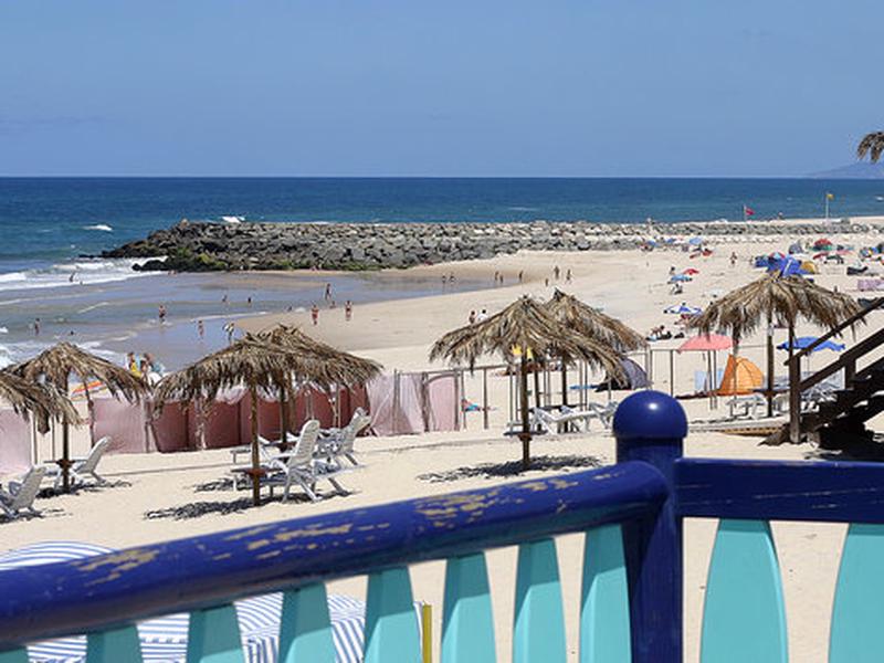 A7219C925B09B4D952D2337F99862195