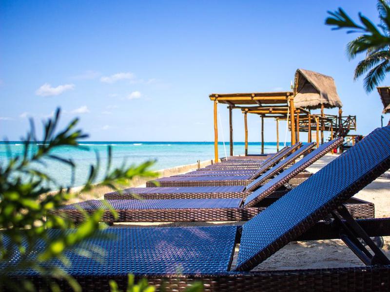 63B8FFC0626734475D3A3FE617D60B2D