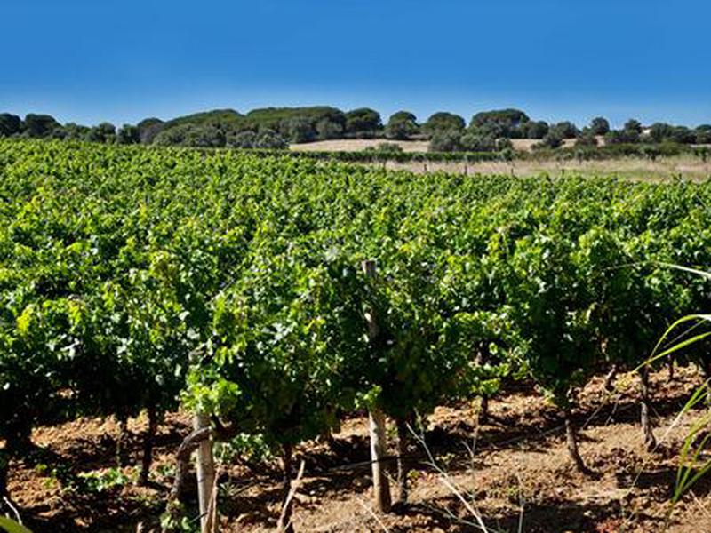 EAA7CB66C4F104CEBC8407E39C2957F7