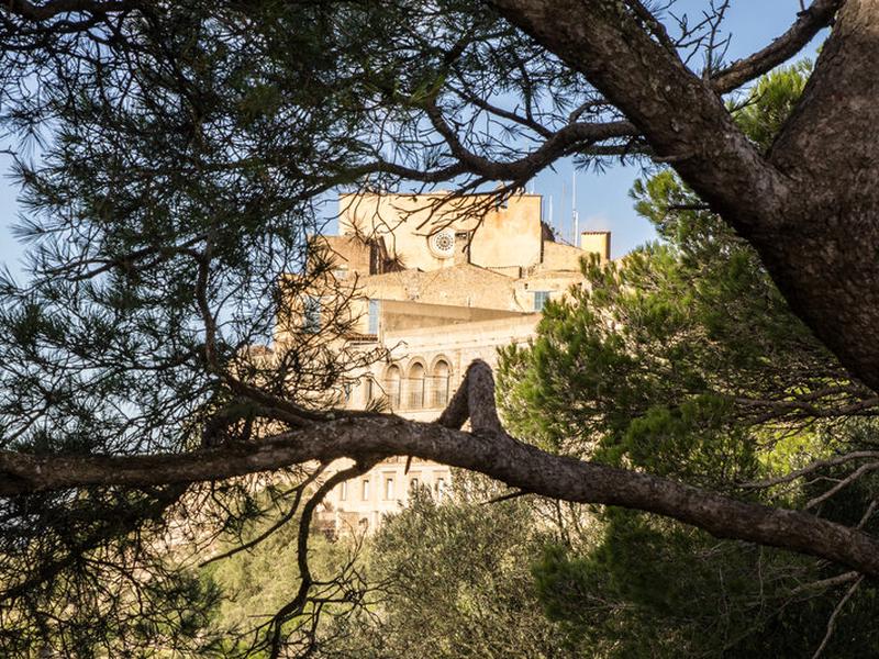 156FD0A09981F50CE6A13A0366BDA769