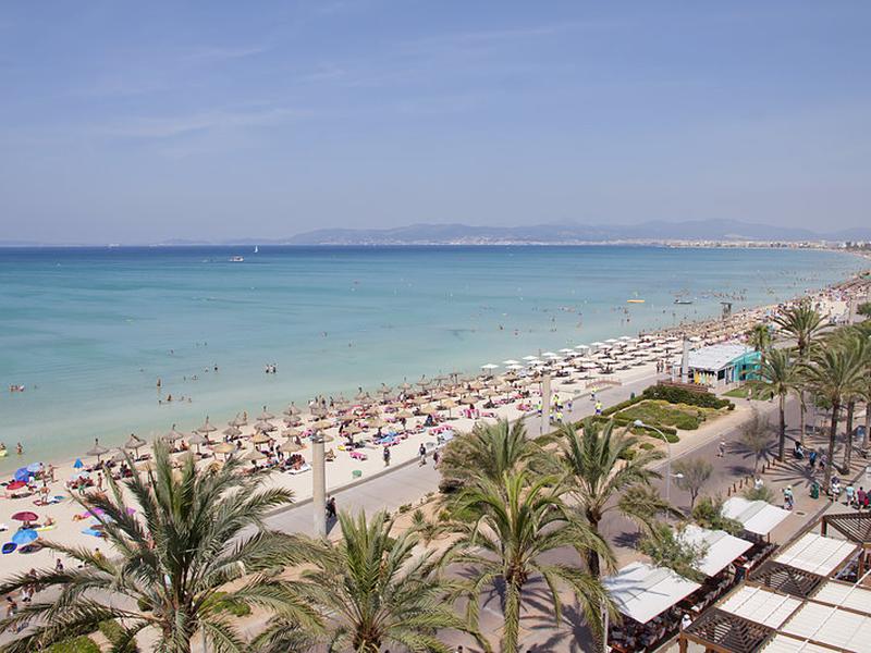 8B01CE112A12CFF7B8CB38ED4F48587E