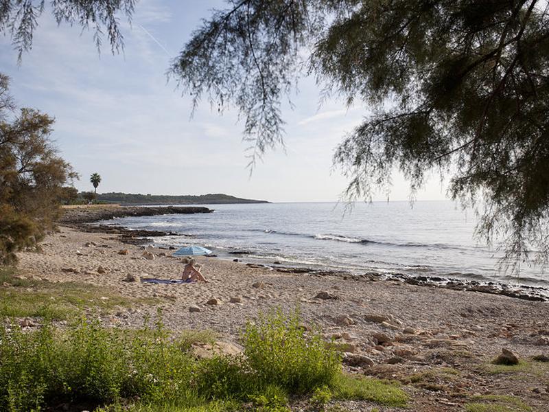 BBEFA32C7B43670792ACD0152BFC384E