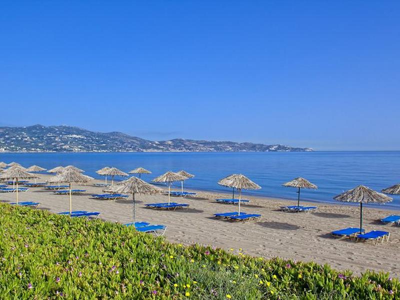 DB0CF515CD3B37B3F81F77A5DAAFC594