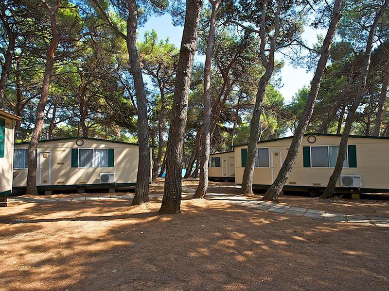 741389A6F6180E87DD3062BE8F024C80