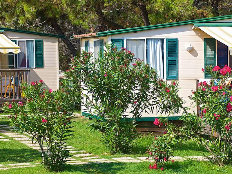 A805EAA5B5687FF88EFF0FF8F8061EB2